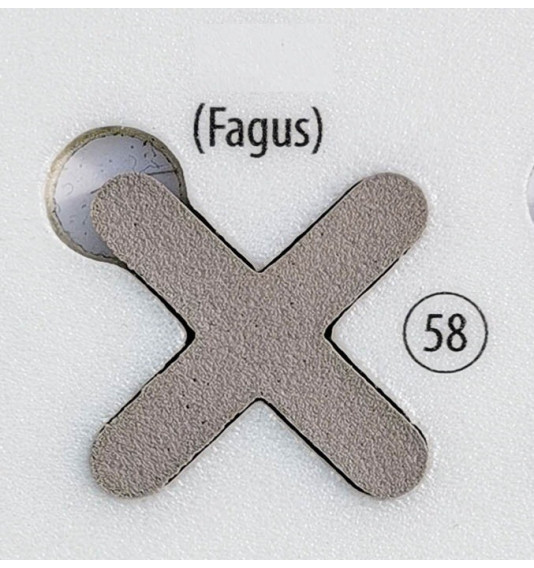 Fugalite Bio Parquet Fagus 58, 3 kg (A+B) epoksidinis glaistas medžio imitacijos plytelėms