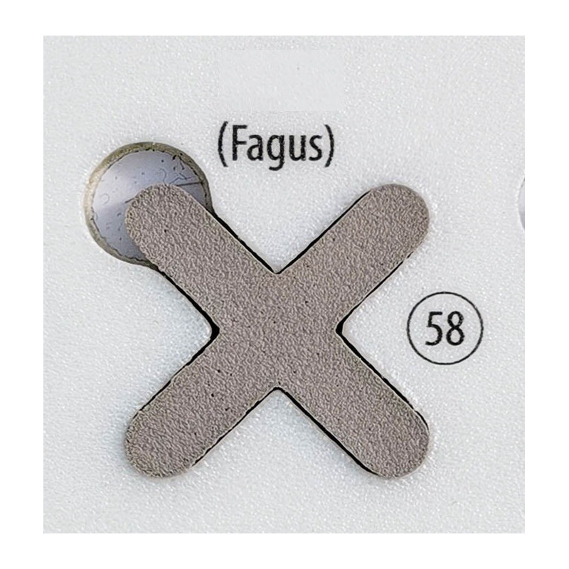 Fugalite Bio Parquet Fagus 58, 3 kg (A+B) epoksidinis glaistas medžio imitacijos plytelėms