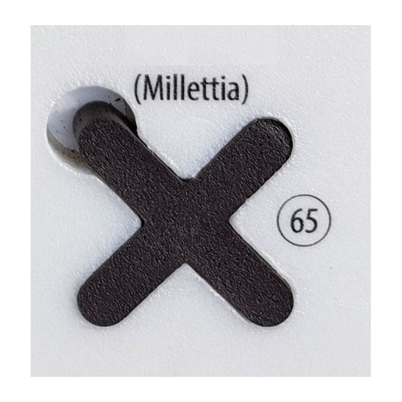 Fugalite Bio Parquet millett 65, 3 kg (A+B) epoksidinis glaistas medžio imitacijos plytelėms